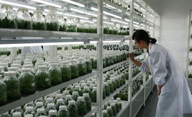 京津冀協(xié)同發(fā)展 合力打造&ldquo;中國(guó)農(nóng)業(yè)硅谷&rdquo;