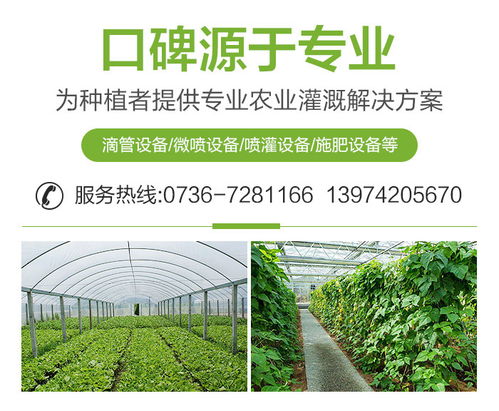 果樹施肥設備公司 吉鑫農業科技 在線咨詢 岳陽果樹施肥設備