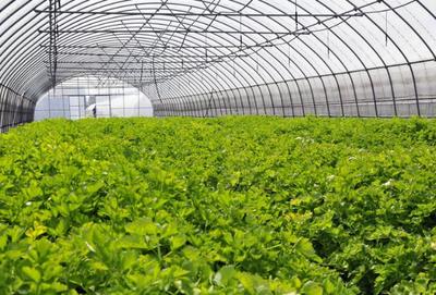 服務業(yè)哪些比較有前景:盤點最具潛力的十大服務行業(yè)