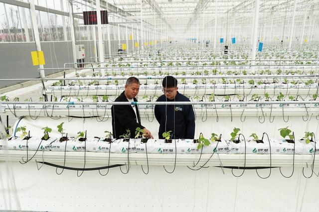 呂欣:&ldquo;第四產(chǎn)業(yè)&rdquo;興起,我們找到了新科技革命的&ldquo;爆發(fā)點&rdquo;?