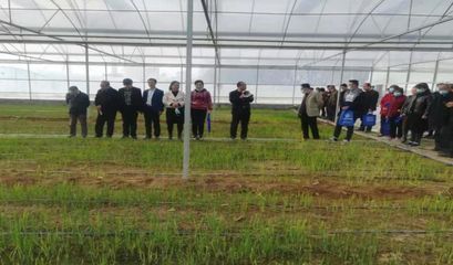 開展&ldquo;訂單式&rdquo;科技服務 助力鄉村振興產業發展