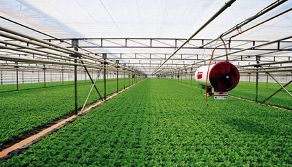 甘肅白銀市平川區(qū)全力構(gòu)建現(xiàn)代化農(nóng)業(yè)服務(wù)體系