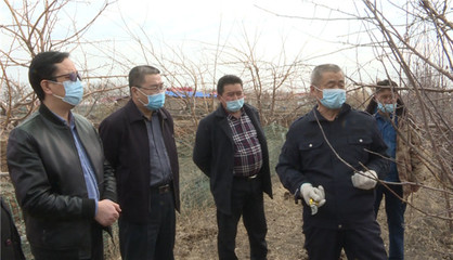 新疆奎屯市科技局送種植技術下鄉