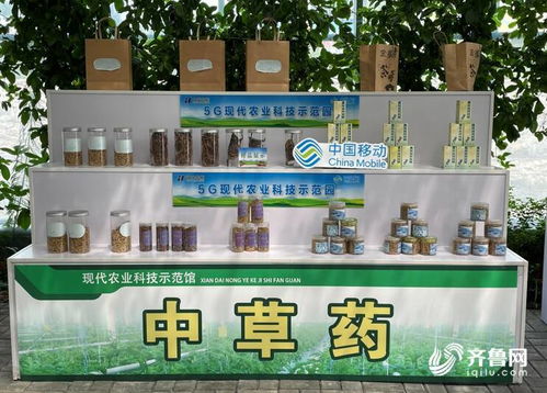 央視點贊新泰智慧光伏農業 山東移動助力激活鄉村振興新動能