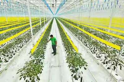 打造全國現(xiàn)代農(nóng)業(yè)發(fā)展樣板 四川這7地將獲支持