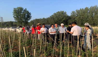 河南省果蔬產(chǎn)業(yè)科技特派員服務(wù)團(tuán)(睢縣)調(diào)研洛寧蘋(píng)果產(chǎn)業(yè)并開(kāi)展科技服務(wù)