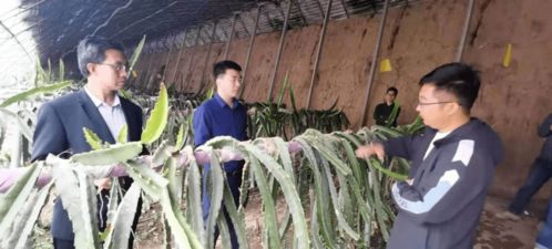 第91批中國(guó)博士后科技服務(wù)團(tuán)走進(jìn)山西天鎮(zhèn)