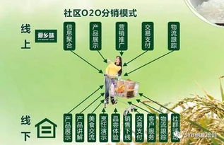 農業電子商務發展對策