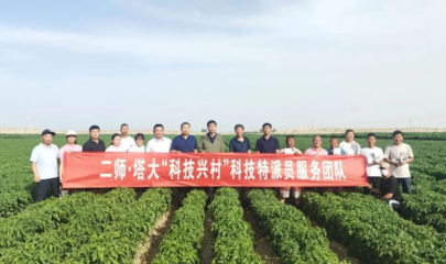 【本地動態(tài)】塔里木大學科技特派員團隊來和碩縣開展科技服務