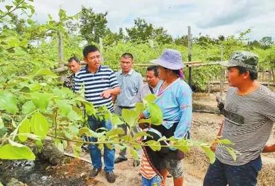 農(nóng)民豐收節(jié)楊凌分會場這些做法成效獲點贊