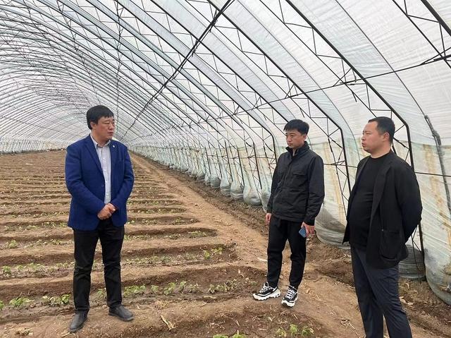 通遼國家農業科技園區發展服務中心、通遼市科技成果轉化服務中心開展精準科技幫扶 助力現代農業發展