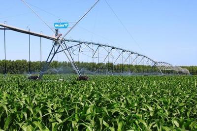 做強(qiáng)做優(yōu)&ldquo;雙黃&ldquo;產(chǎn)業(yè) 通遼這樣打造國家農(nóng)業(yè)科技園區(qū)