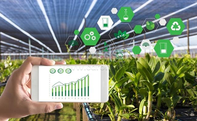 山地農業發展方向,智慧農業助力山地生態。