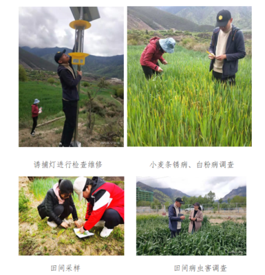 農(nóng)口科技人員春季下基層服務(wù)簡報