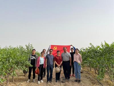 學(xué)黨史&middot;辦實(shí)事8|林果業(yè)科技服務(wù)團(tuán)隊(duì)服務(wù)基層助力鄉(xiāng)村振興