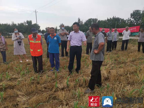 山東濱州國(guó)家農(nóng)業(yè)科技園區(qū) 以農(nóng)業(yè)科技賦能文明建設(shè)