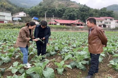 仁懷市農(nóng)技專家下基層 科技服務(wù)助增收