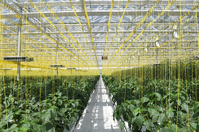 探索北方旱作農(nóng)業(yè)提質(zhì)增效路徑 山西農(nóng)谷中博會(huì)上亮出成績(jī)單