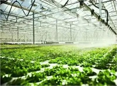 泰州市將用三年構(gòu)建1700億農(nóng)業(yè)全產(chǎn)業(yè)鏈