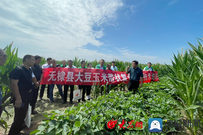 無棣縣科技特派員送“技”到田間，助力農(nóng)業(yè)科技服務(wù)升級