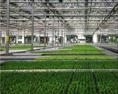 張兵書記調研湘家蕩農業數字化工廠，助力農民豐收節農業科技服務