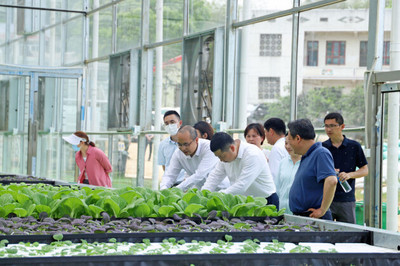 湖南美食流迎市領導調研岳麓區鄉村振興 科技賦能農業服務新篇章