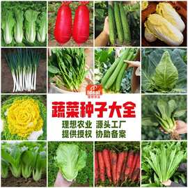 10000克大米背后的農(nóng)業(yè)科技服務 從一粒種子到萬家餐桌的智慧之旅